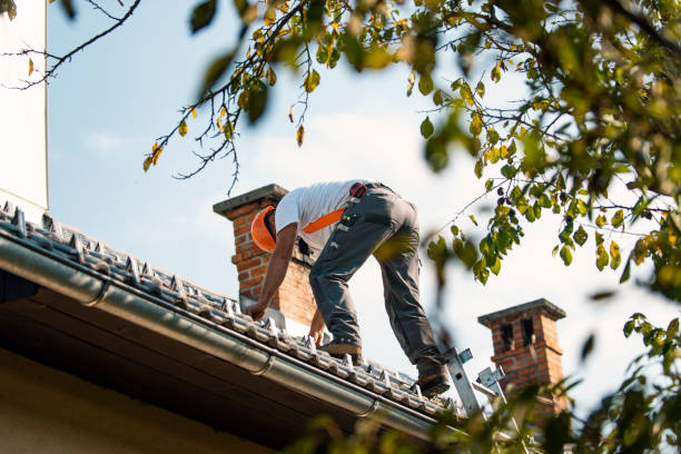 Best Roof Waterproofing Services  in Rutherford, PA