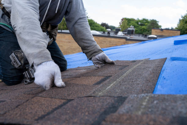 Best Roof Leak Repair  in Rutherford, PA