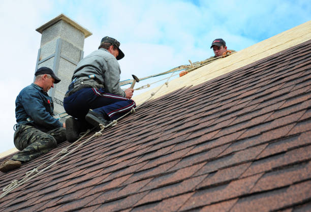 Best Shingle Roofing Installation  in Rutherford, PA